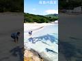 【サメ注意】信じられない光景…ビーチがサメに占拠された！#sharkvideo #sharkshorts 　#ogasawara #japansea #marinelife