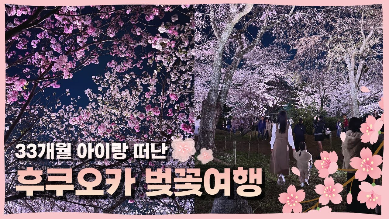 🌸후쿠오카 벚꽃여행 브이로그 l 🌺2023년 벚꽃축제 l 아이 동반 여행 l 33개월 또링이랑 l