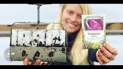 All the Dirt on Soil Blocking