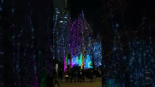 Winter lights Dockland