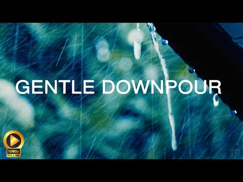 Calm & Gentle Rain Sounds | Relaxing Ambience for Sleep | Meditation | Focus | Study