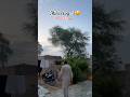 Mera nanka pind 🥰💝 #pindvloge #viralvideo #foryou #minivlog #foryou #shortvideo #fy #viral