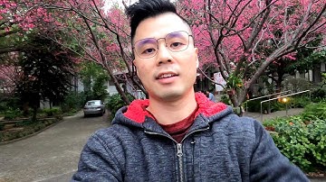 Bữa tiệc Tất niên ấm cúng, vui chào Canh Tý, đón Tân Sửu ft. S.H.I.P. in Taiwan|Tết Bốn Phương Ep.02