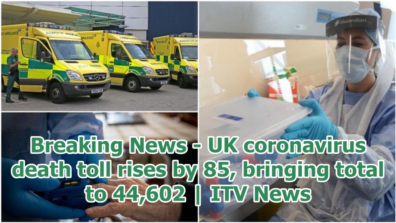 Breaking News - UK coronavirus death toll rises by 85, bringing total ...