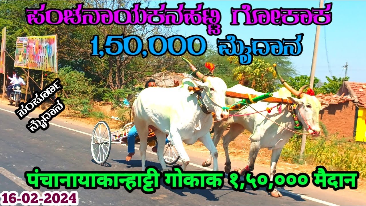 पंचानायाकान्हाट्टी १५०००० मैदान |ಪಂಚನಾಯಕನಹಟ್ಟಿ ಗೋಕಾಕ 150000 ಮೈದಾನ |Panchanayakanahatti 150000 Maidan