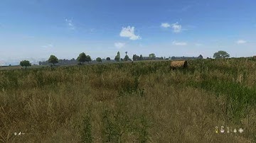 DayZ flashbang kill ps5 official