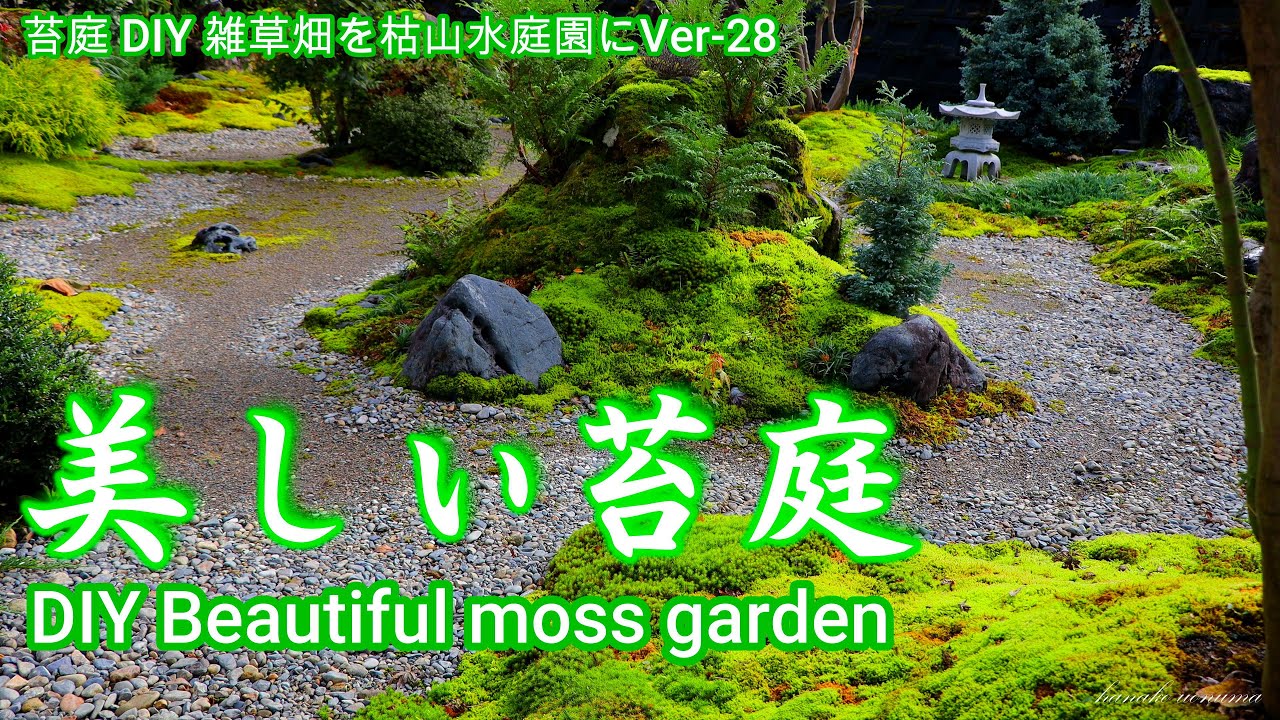 4k Diy苔庭の隣に薔薇を植え洋風の庭を作りました I Planted Roses Next To The Moss Garden To Create A Western Style Garden Youtube