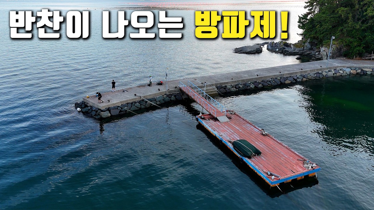 한여름 밤 더위를 피해 누구나 손맛 볼 수 있는 생활낚시 포인트!!!