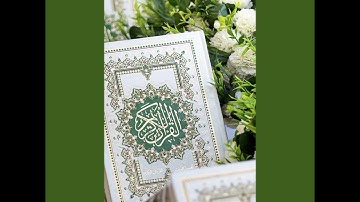 سورة يس بصوت سيد عبد الهادي الموسوي 