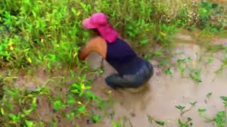 Net Fishing at pailin Province - Khmer Cast Net Fishing -Cambodia Traditional Fishing ( Part 38)