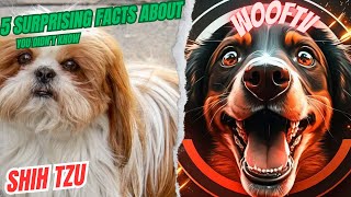 5 Surprising Facts About Shih Tzu You Didn't Know by WoofTV 15 views 1 year ago 1 minute, 46 seconds