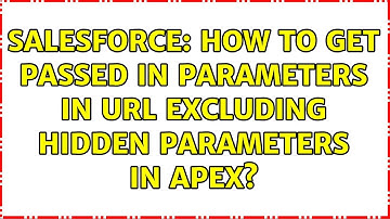 Salesforce: How to get passed in parameters in URL EXCLUDING hidden parameters in Apex?