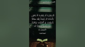 و زكريا إذ نادى ربه القارئ محمد رياض الجبوري