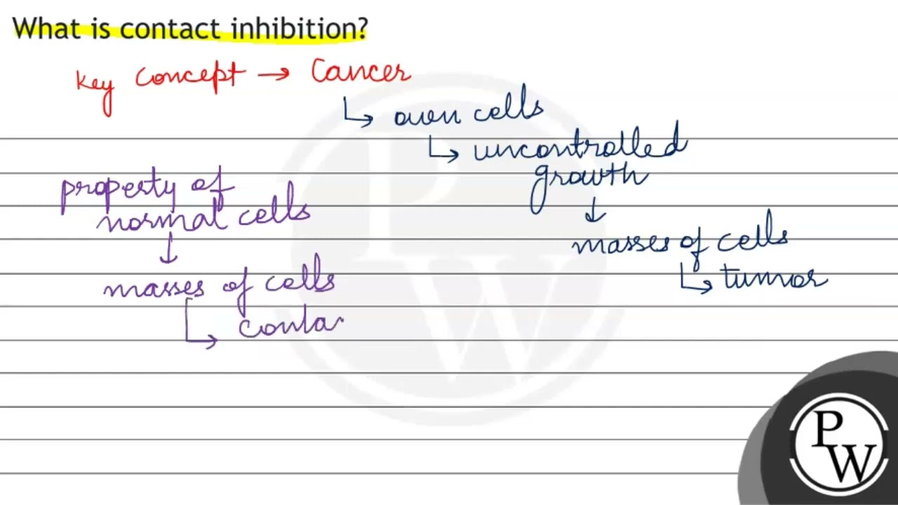 What is contact inhibition?