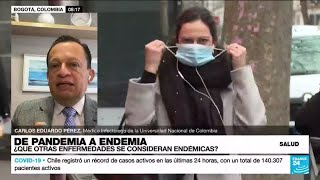 Endemia Epidemia Y Pandemia El Abc Del Covid19