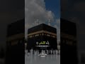 Surah Al-Nas – The Most Powerful Dua 🤲 | Heart Touching Recitation #tilawat #quran #islamic #most