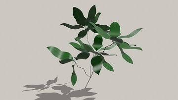 #Shapr3D Creating leaves on a branch using the Trajectory and Intersection tools