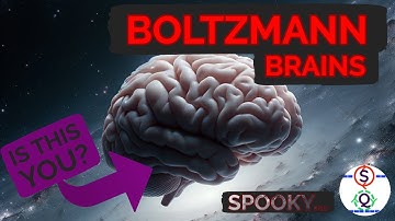 Why The Universe Doesn