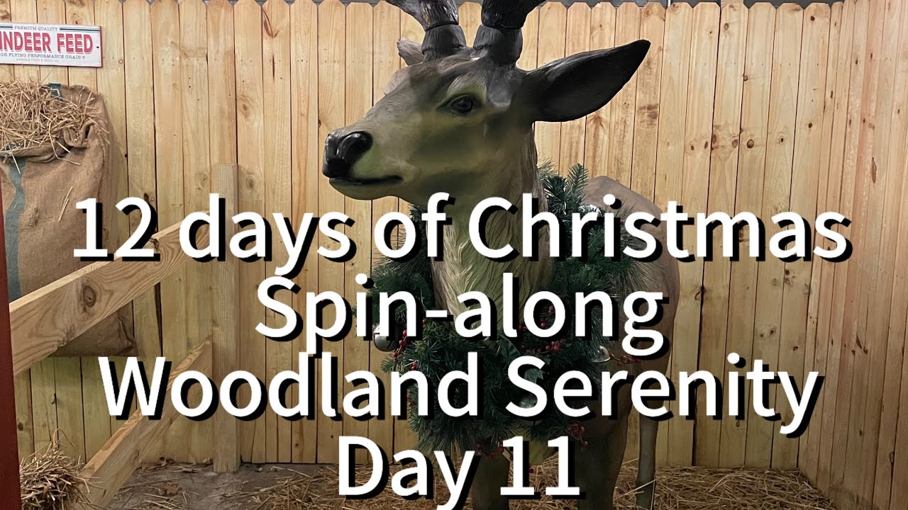 Day 11 of the 12 days of Christmas Spin-along