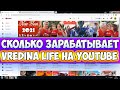 Сколько зарабатывает Vredina Life на Youtube