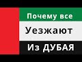 Почему все УЕЗЖАЮТ из Дубая. Выжить в Дубае | Ужасные Минусы жизни в Дубае. Где лучше всего жить?