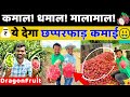 It    40   2    best profitable fruit farming  indian farmer