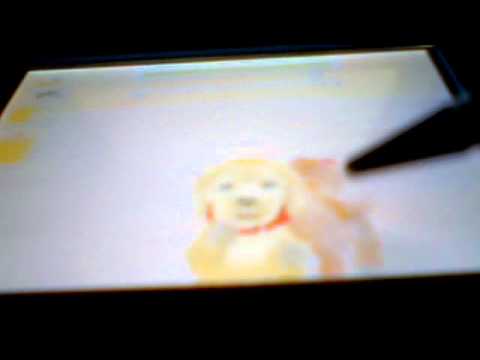 Comment obtenir votre ACCOUPLEMENT enceinte Nintendog