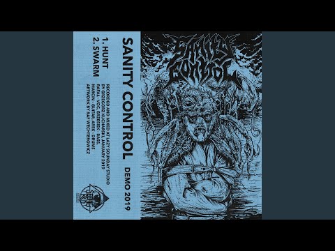 Sanity Control — Swarm
