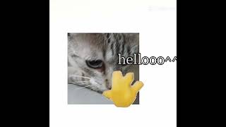 #video#naofloppa#amora#desflopacomu