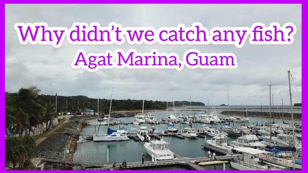 WHY DIDN'T WE CATCH ANY FISH?WHAT HAPPENED? YouTube