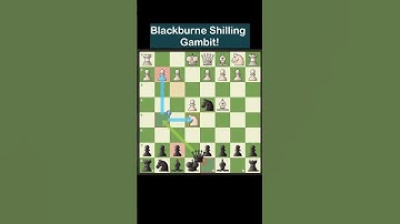 Blackburne Shilling Gambit Trap.