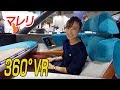 【360°VR】マレリ　東京モーターショー2019 の動画、YouTube動画。