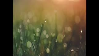 Tumhi Dekho Naa Instrumental