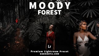 Free Lightroom Preset | How to Edit Moody Forest Preset In Lightroom Mobile | DNG & XMP screenshot 5