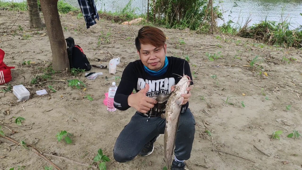 Tidak di sangka mancing ikan di sungai dapat lele ukuran monster 