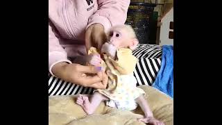 Most Caring Mommy Takes A Great Care For Baby Julius After Bath