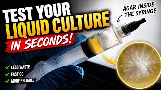 Stop Wasting Agar Plates Testing Mushroom Liquid Culture 