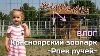 ВЛОГ Красноярский зоопарк -Роев ручей-