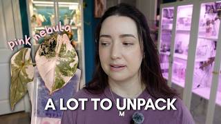 How I Acclimate Rare Alocasia | Let's Talk About Seller Transparency