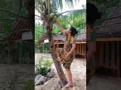 #baru Tante berdaster metik kelapa