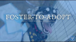 Foster-to-Adopt Walkthrough