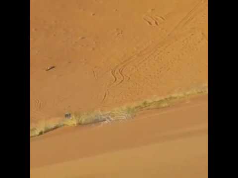 التجربه خير برهان