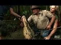 Jumping on Big Bull's Back | Gator Boys