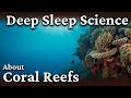 Coral Reefs - Relaxing Ocean Science to Fall Asleep To | Deep Sleep Story