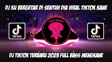 DJ PUTRI IKLAN ST12 || DJ AKU BERGETAR DISENTUH DIA MATAKU TERBANG SAMPAI KELANGIT KANE VIRAL TIKTOK