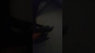 Spino Jp 3 E Spino Accurado