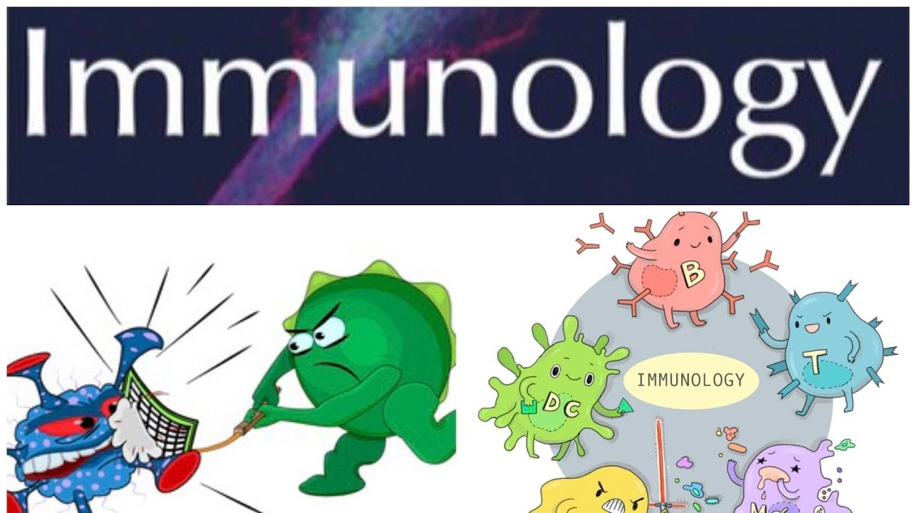 Immunology lecture 4 | Expanded program of Immunization (EPI) - YouTube