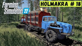 картинка: FS 22 - ВЕЗУ КРУГЛЯК.  ДОСКИ ДЛЯ МЕБЕЛИ.  Лесоруб в Глуши  HOLMAKRA # 18