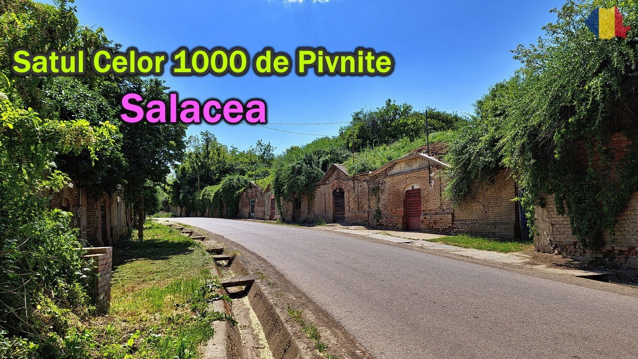 Salacea - Satul Celor 1000 de Pivnite (2024) | Viziteaza RO