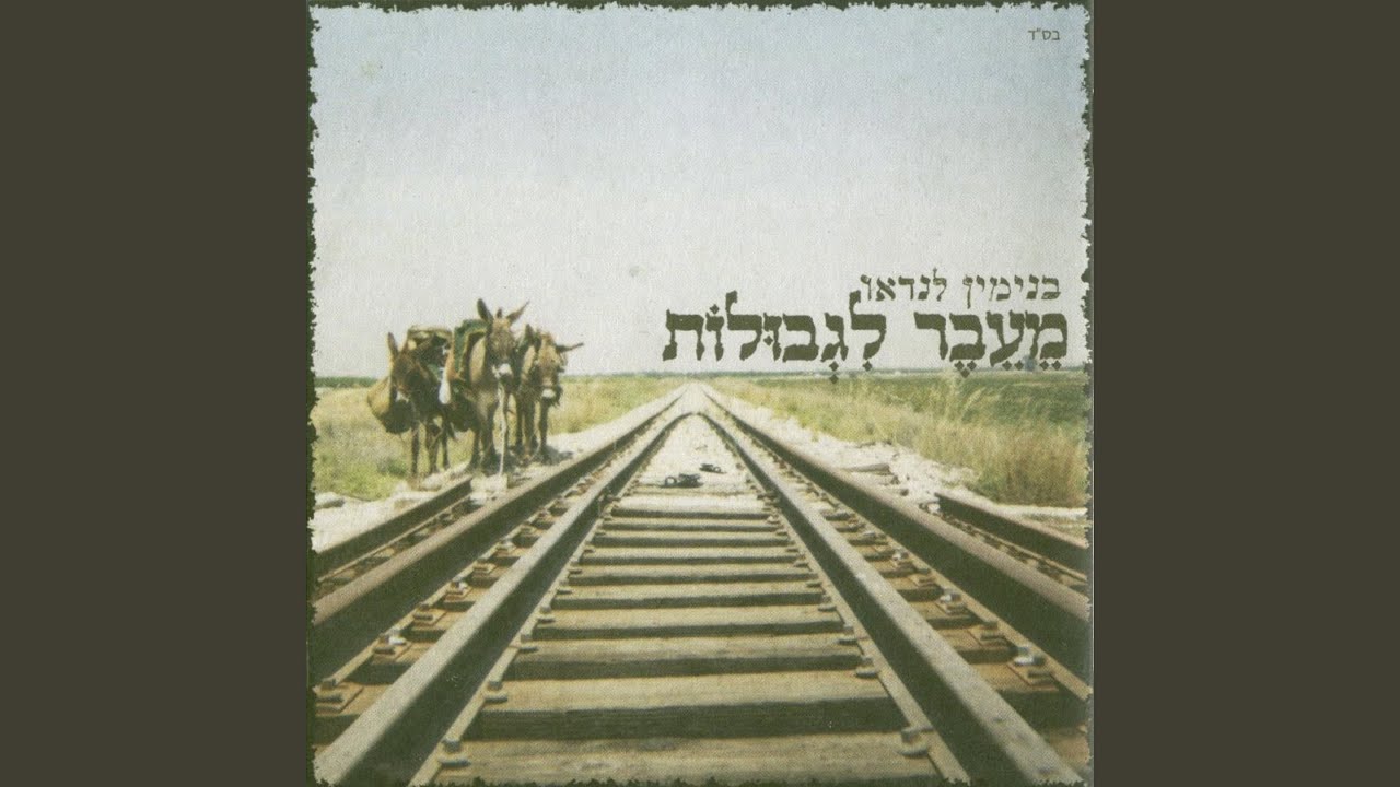 רסיסי לילה